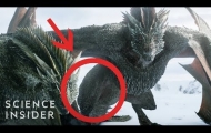 Why The 'Game Of Thrones' Dragons Couldn't Fly In Real Life
