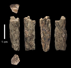 Mamma neandertaliana e papà denisoviano: questa la famiglia di una ragazza di 90.000 anni fa
