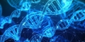 Hachimoji DNA, quando l&#039;informazione genetica passa per otto lettere