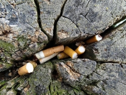 I mozziconi di sigaretta danneggiano le piante