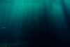 Pesci abissali, un nuovo video stupisce i biologi