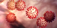 Coronavirus: perché leggiamo numeri così diversi sull’epidemia di COVID-19?