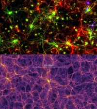 Il nostro cervello è un Universo