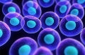 GiovedìScienza di Torino - Terapia cellulare e genica in medicina rigenerativa