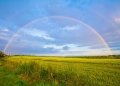 La dispersione dei colori: dall’arcobaleno al prisma di Newton