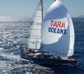 La spedizione Tara svela il mondo del plancton degli oceani
