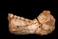 Ecco i resti più antichi di Homo sapiens: risalgono a 300 mila anni fa