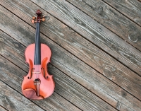Armonia musicale: cosa lega un pendolo a un violino?