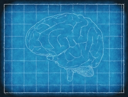 Una mappa genomica del cervello per trovare le radici dei disturbi psichici
