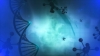 Il DNA fai-da-te e le previsioni genetiche a domicilio