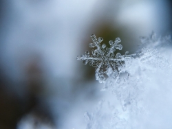 Le delicate geometrie di un fiocco di neve
