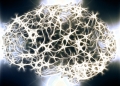Sinapsi artificiali per la comunicazione tra neuroni