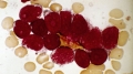Arrivano nuove terapie immunitarie anti-cancro?
