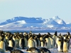 Antartide, una terra misteriosa
