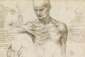 Leonardo, l’anatomia e l’amicizia con Marco Antonio Della Torre