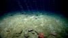 Il fondo dell&#039;oceano &quot;perde&quot; metano
