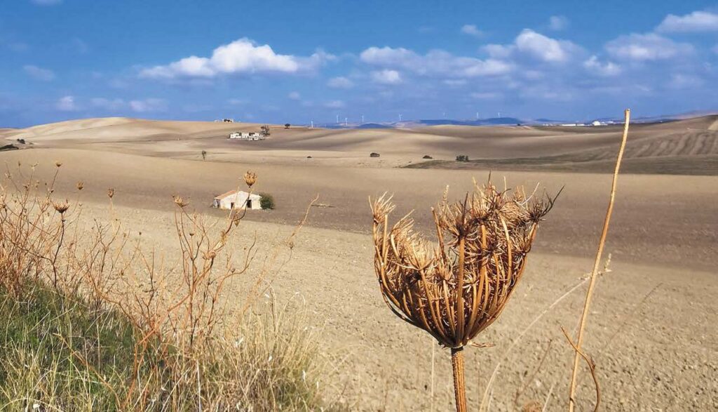 Omertà climatica
