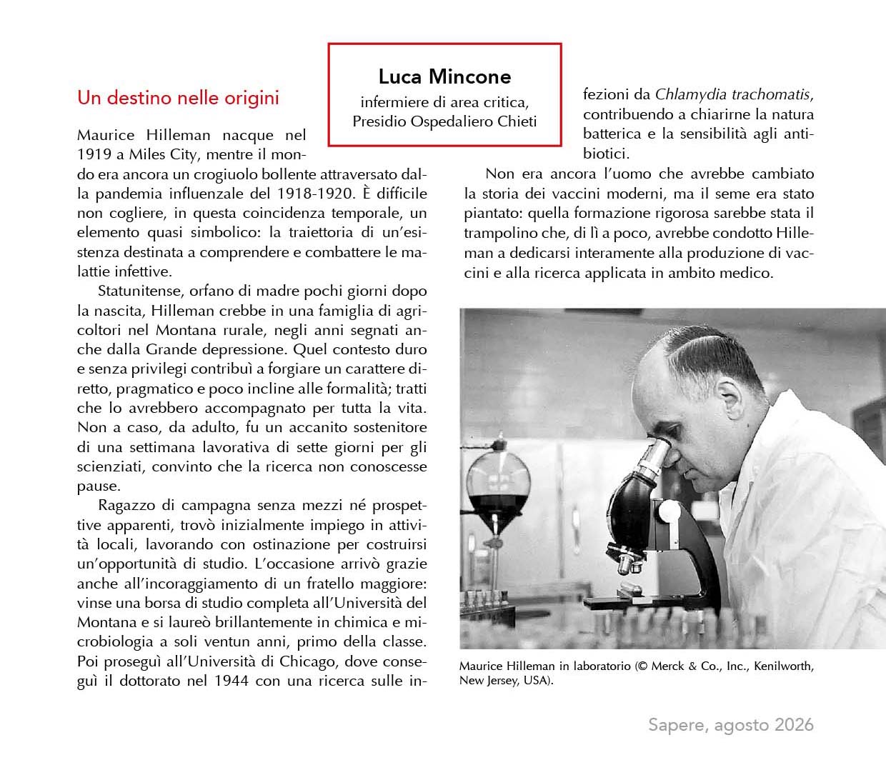 mincone